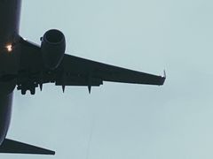 -空港花田景区