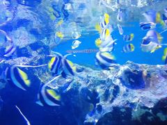 -海合安成都极地海洋公园