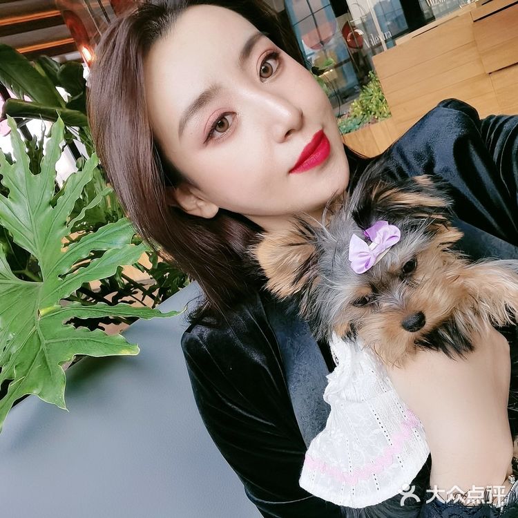 约克夏第一次做美容