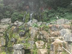 -陶祖圣境风景区