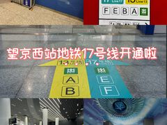 -望京西(地铁站)