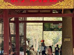 -西双版纳傣族园