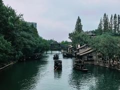 -西塘人家•黑金冠本地好店