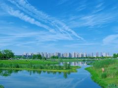 -洋湖国家湿地公园