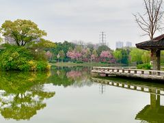 -荆川公园