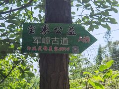 -宝界山林公园