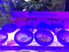-长沙三景韦尔斯利酒店·Oval全日制餐厅自助餐