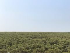 -北海金海湾红树林生态旅游区