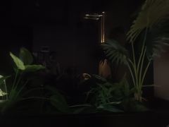 -鹤祥宫影院足道SPA连锁(吉大万国汇钰海店)