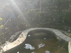 -英德宝晶宫天鹅湖茶语温泉