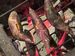 -野蔓果·山野菜(西湖景区·龙井茶田店)