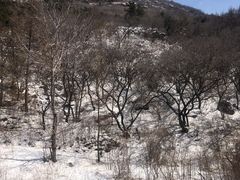 -妙峰山风景名胜区