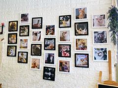 -平行世界·猫咖(首经贸店)