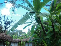 -大象粑粑造纸公园