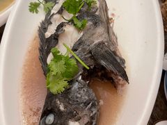 -大城·烧烤海鲜大排档(台东店)