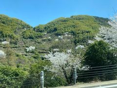 -蒋氏故居