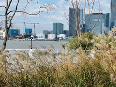 -上海山野camping·户外天幕烧烤·团建拓展营地