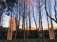 -华东师范大学第二附属中学(张江校区)