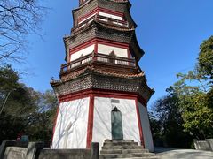 -分塔山省级森林公园