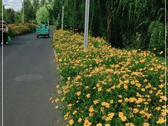 -长春公园(普阳街道)