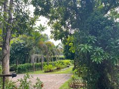 -中国科学院西双版纳热带植物园