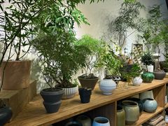 -自由生长植物工作室(深港花卉中心店)