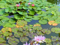 -国家植物园南园