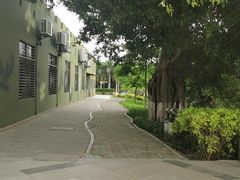 -大嶝英雄三岛战地观光园