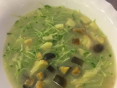 -旺金鸽(穗盐路总店)