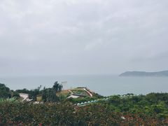 -东澳岛