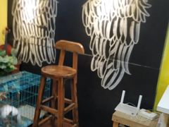 -志龙皇冠吃货椰子铺