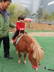 -萌宠亲子动物乐园(槐房万达店)