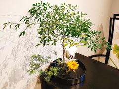 -拂晓山房·私房川菜(西门店)