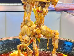 -蛙老爹·蜀香美蛙鱼头(王家湾店)