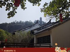 -南沙蒲洲花园