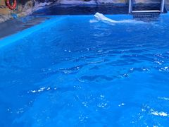-海合安青岛极地海洋公园