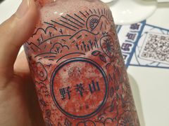 -野萃山·潮汕厚果汁(十亩地店)