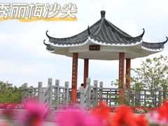 -梅沙尖