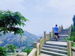 -洋山深水港