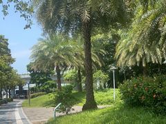 -宝安西湾红树林湿地公园