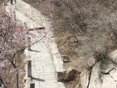 -北京凤凰岭