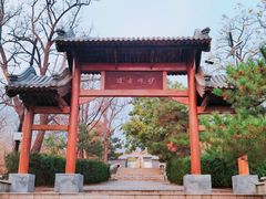 -阳台山自然风景区