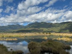 -腾冲北海湿地