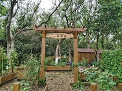 -金鸡湖桃花岛