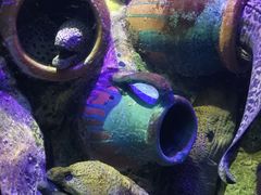 -太平洋海底世界