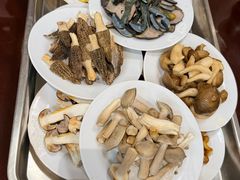 -菌之家·专业纯野生菌火锅·特色炒菌