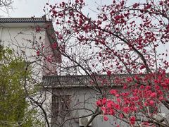 -北京凤凰岭