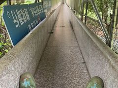 -玉石林风景区