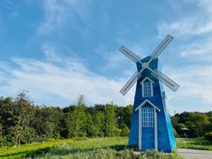 -铁山坪森林公园