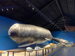 -青岛海底世界-水族馆